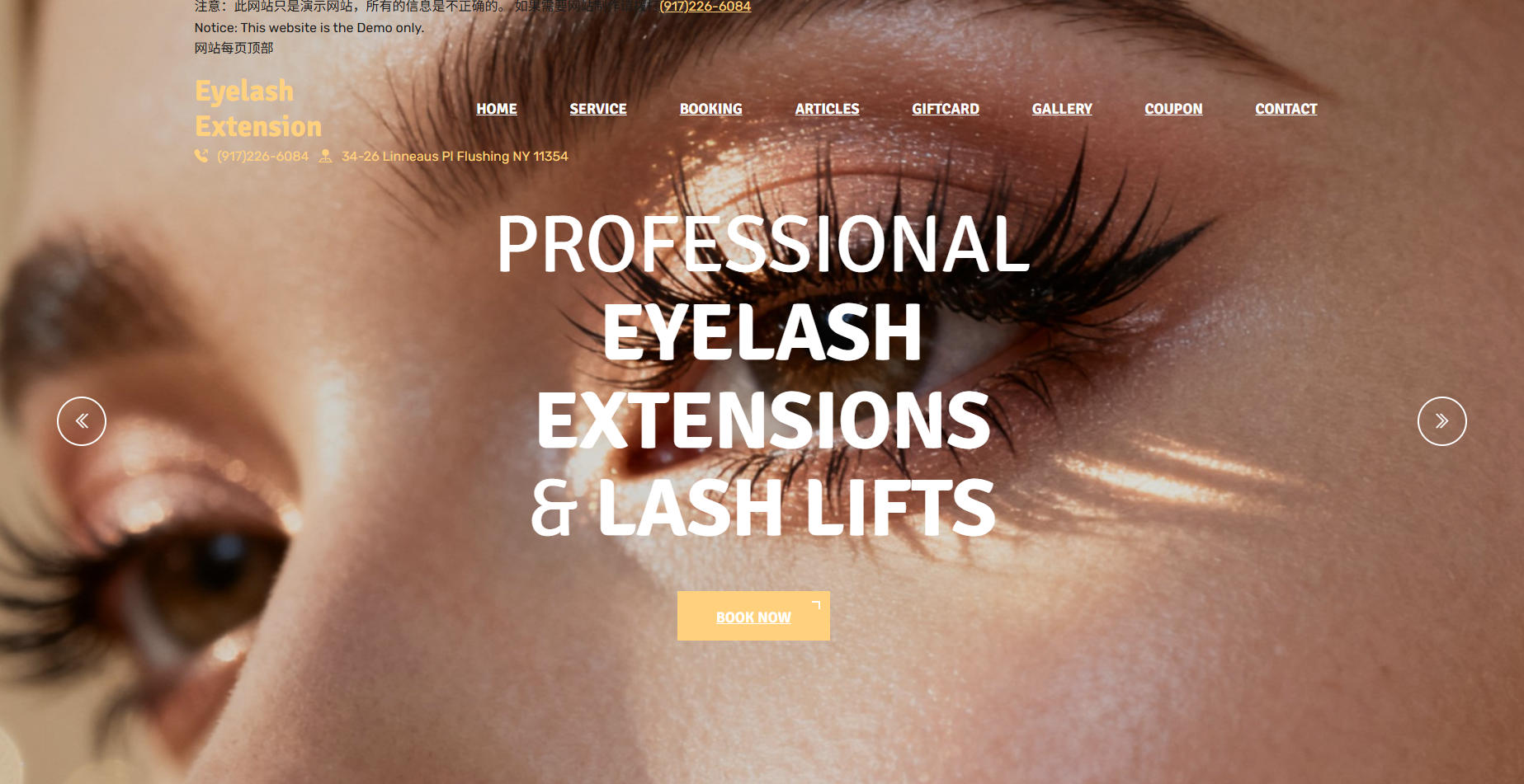 Eyelash3 Template
